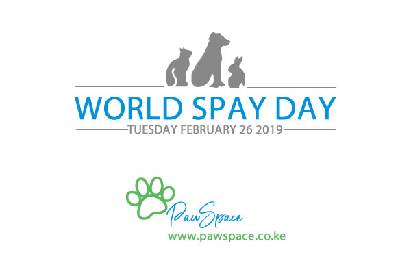 World Spay Day 2019