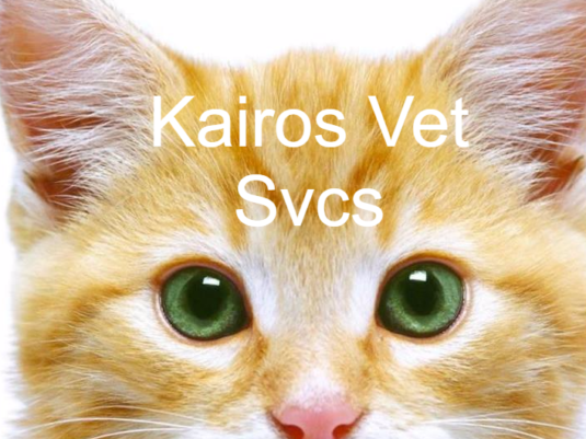 Kairos-Veterinary-Services