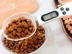 Digital pet food weighing spoon