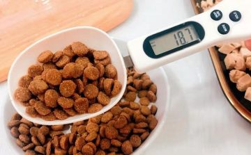 Digital pet food weighing spoon