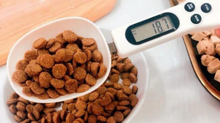 Digital pet food weighing spoon